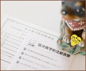 ワクチン接種とかかるコスト